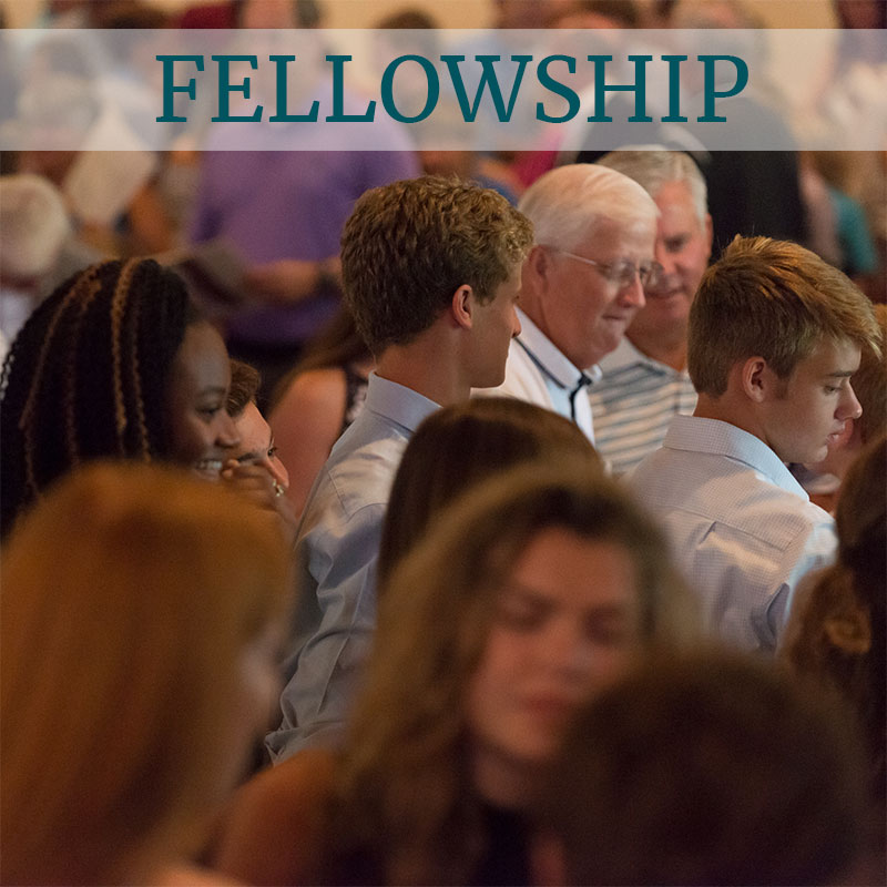 fellowship-featured